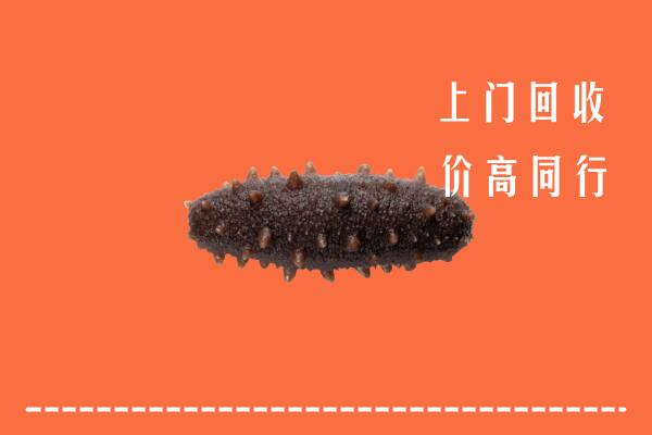 高价求购：长汀县回收海参