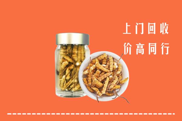 长汀县回收冬虫夏草