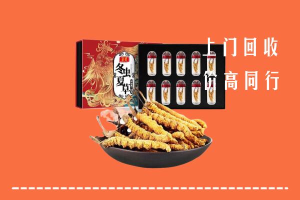 长汀县回收虫草